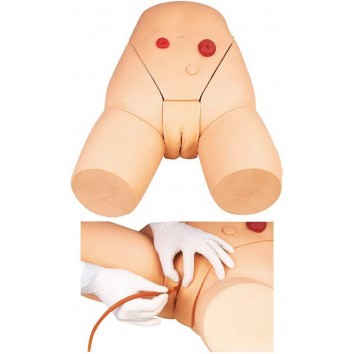 ADVANCED FEMALE URETHRAL CATHETERIZATION SIMULATOR